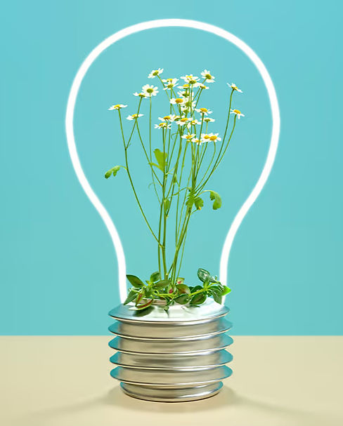 community conferencing___edited.jpg