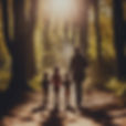 parent walking with kids through trees toward sunlight_edited.jpg