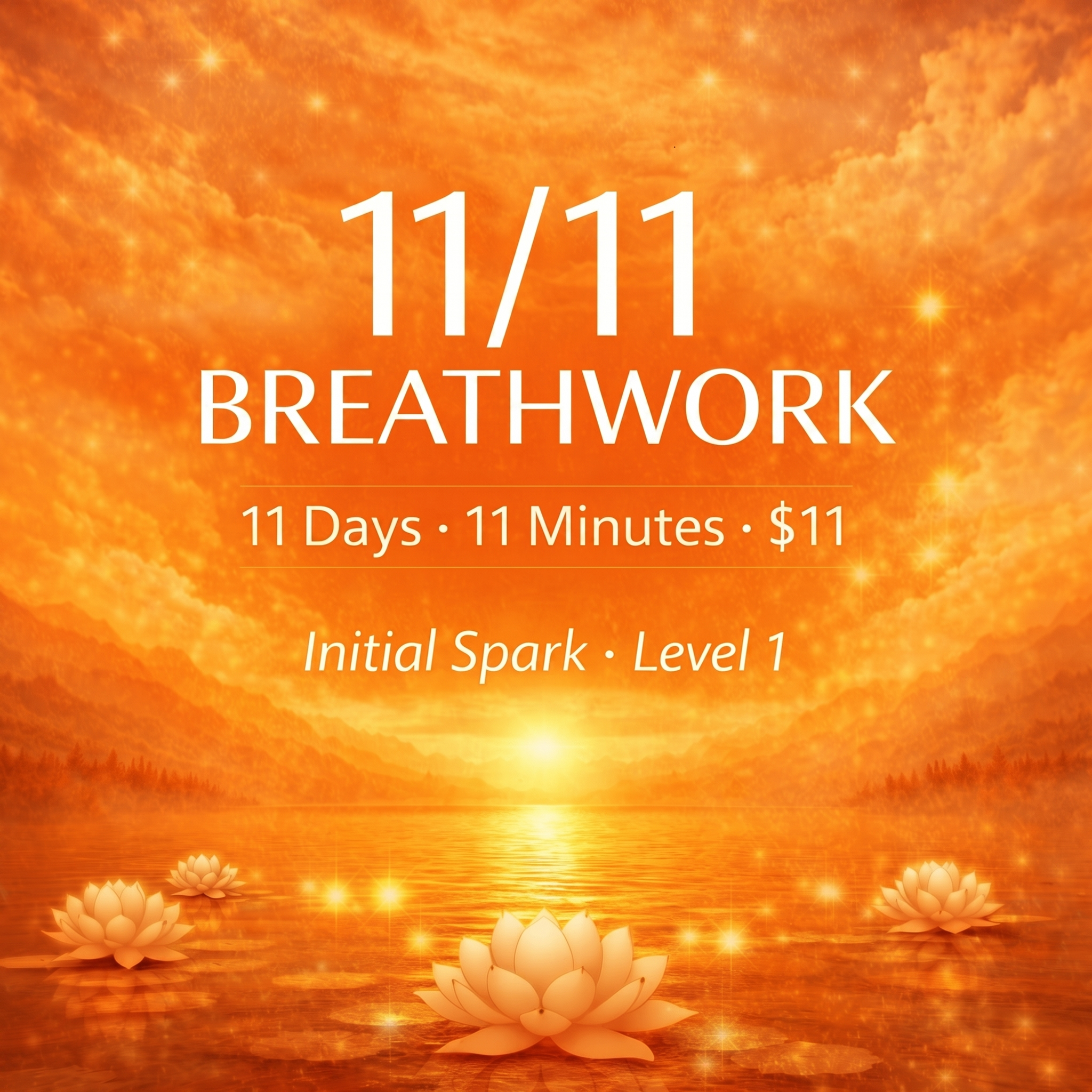 11 days · 11 minutes a day · $1 a day