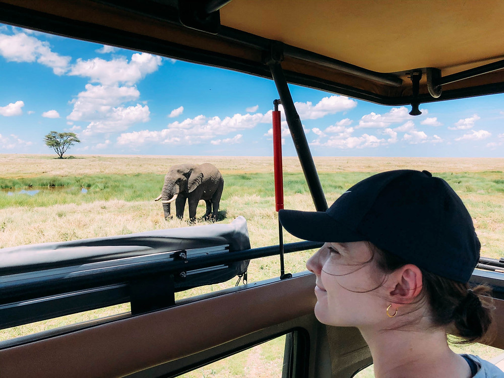 A lone elephant enjoying a mid-plain drink in Serengeti