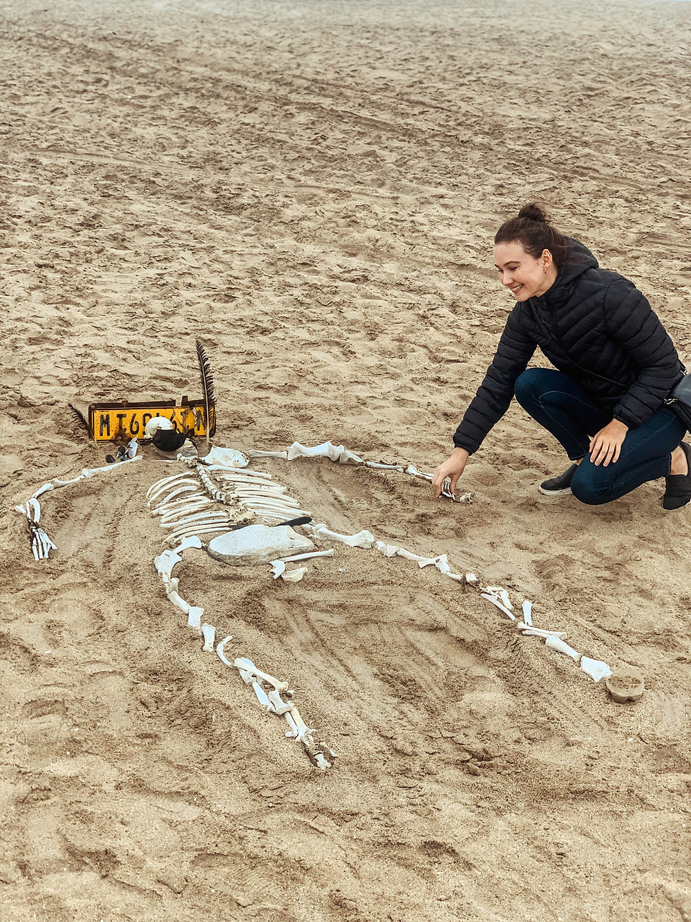 Skeleton jokes on the Skeleton Coast!
