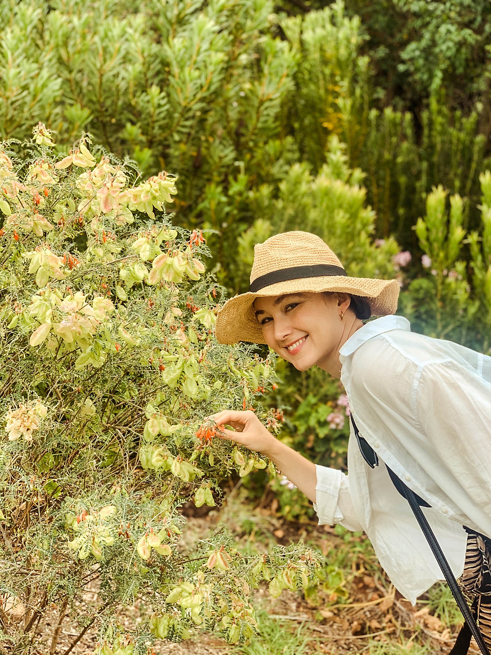 Our resident botanist in Kirstenbosch