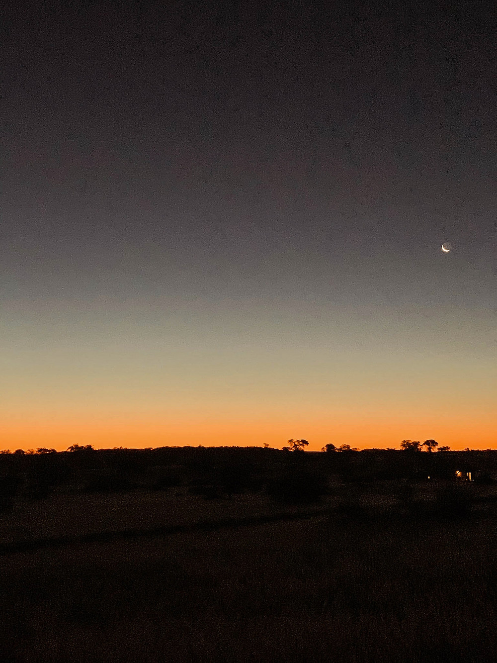 Dusk in Bagatelle
