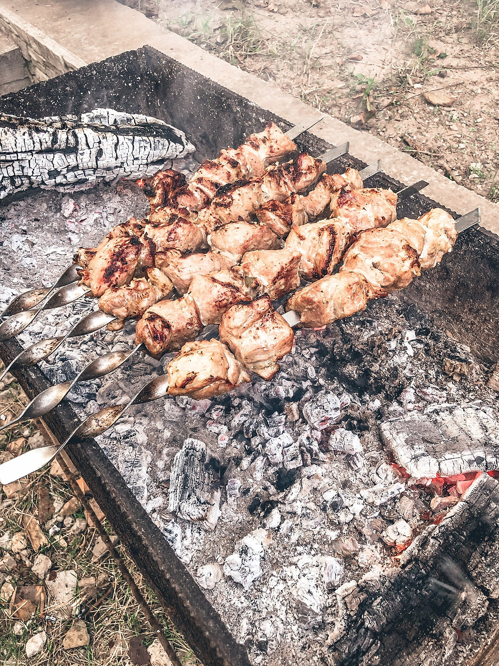 Shashlik on the mangal