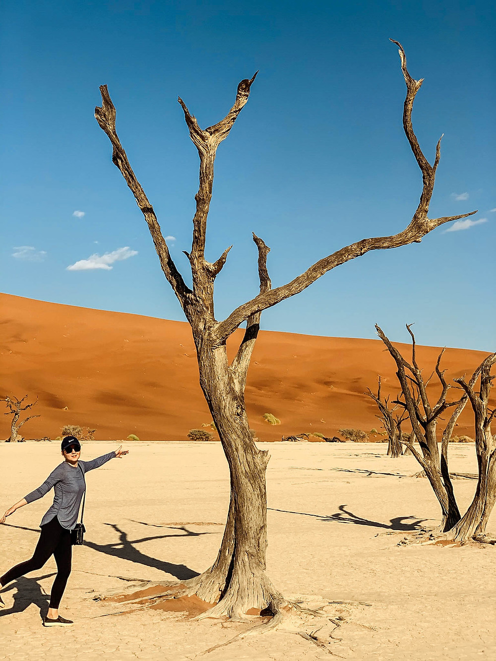 Obligatory Deadvlei "action shot"