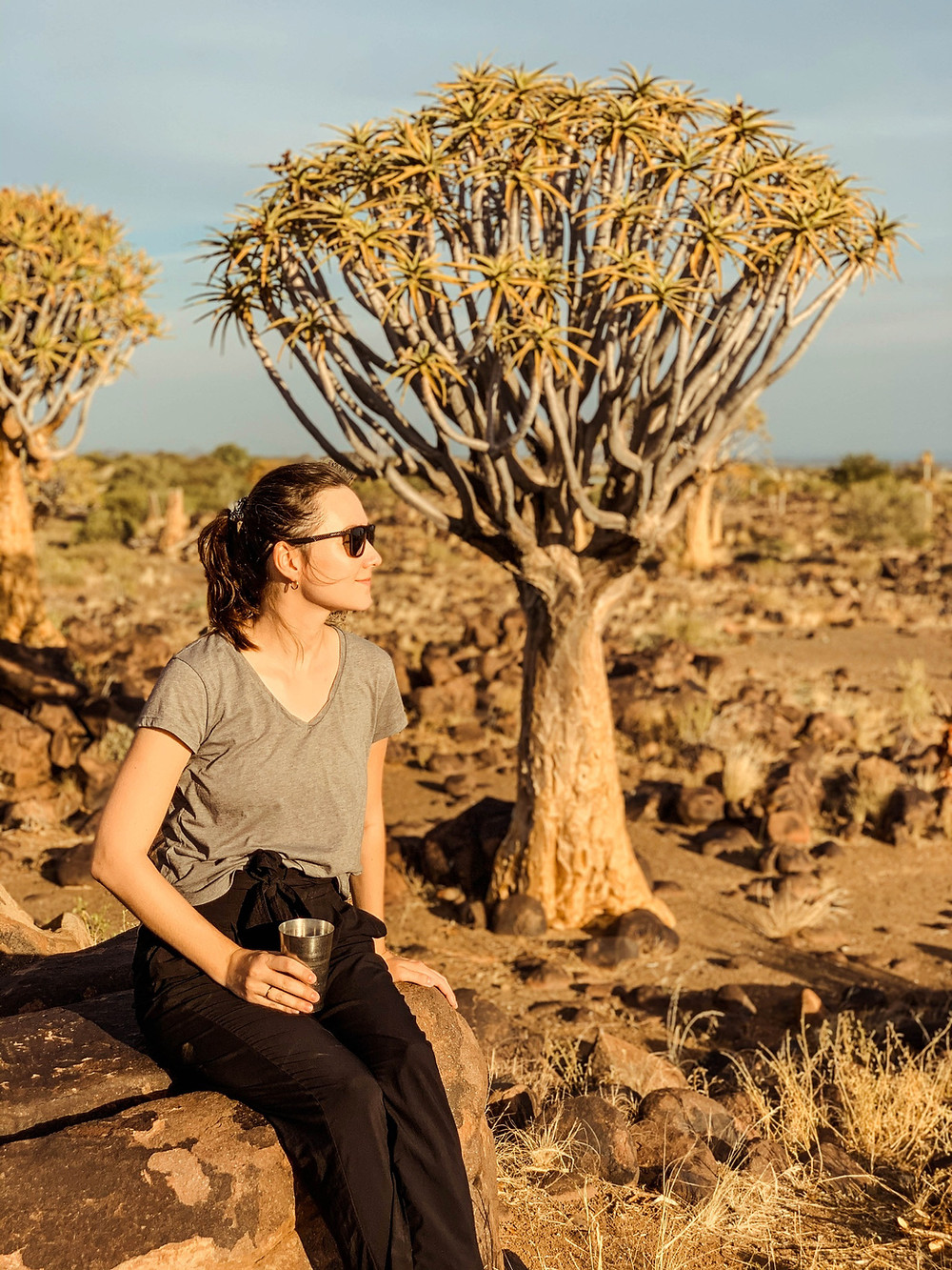 Quiver Tree Forest
