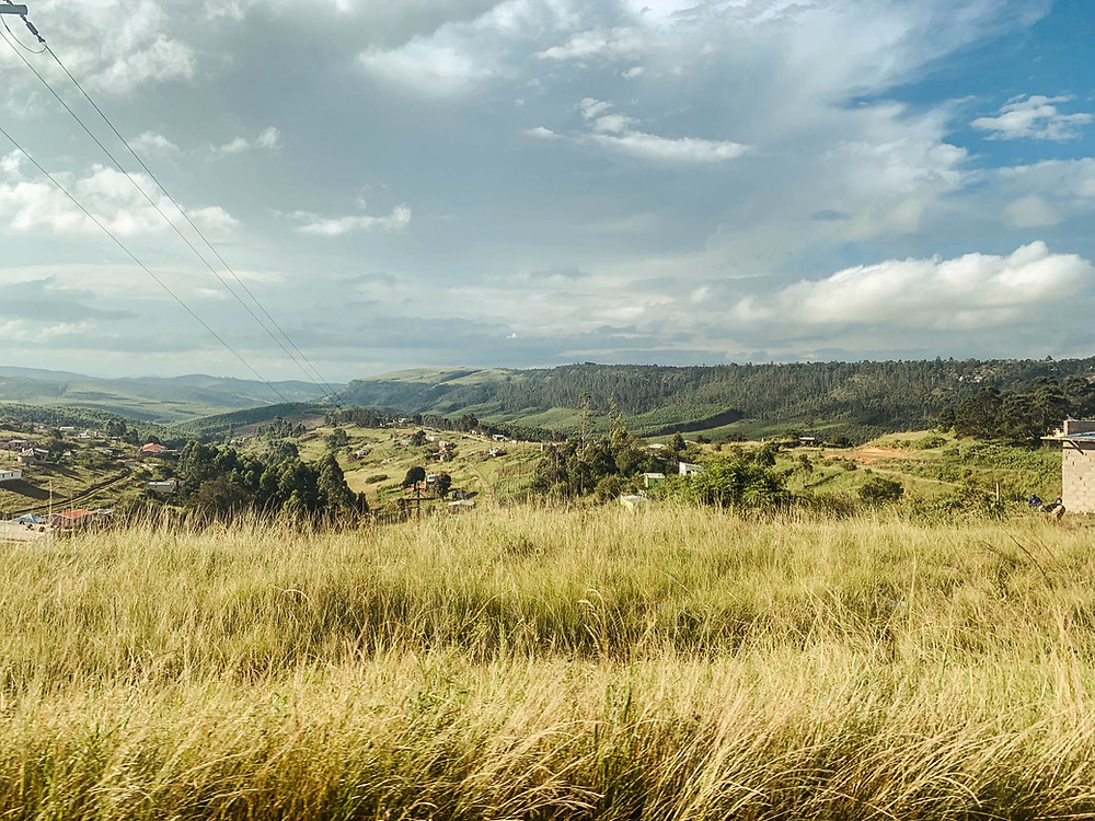 The rolling hills of the Transkei