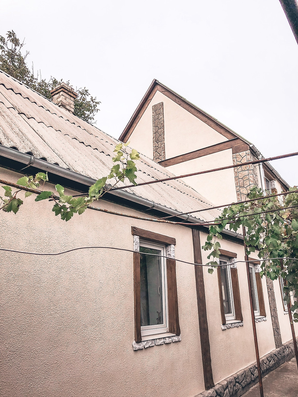 Dyada Oleg and Tyota Elena's dacha - grapes and all!