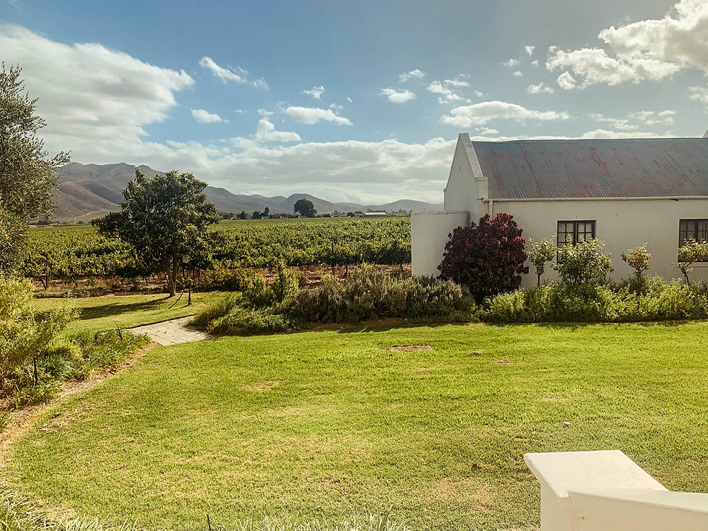 Looking off our back porch at one of Excelsior's outlying buildings - also in the Cape Dutch Revival style