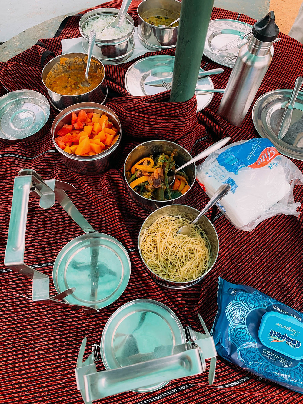 A safari picnic