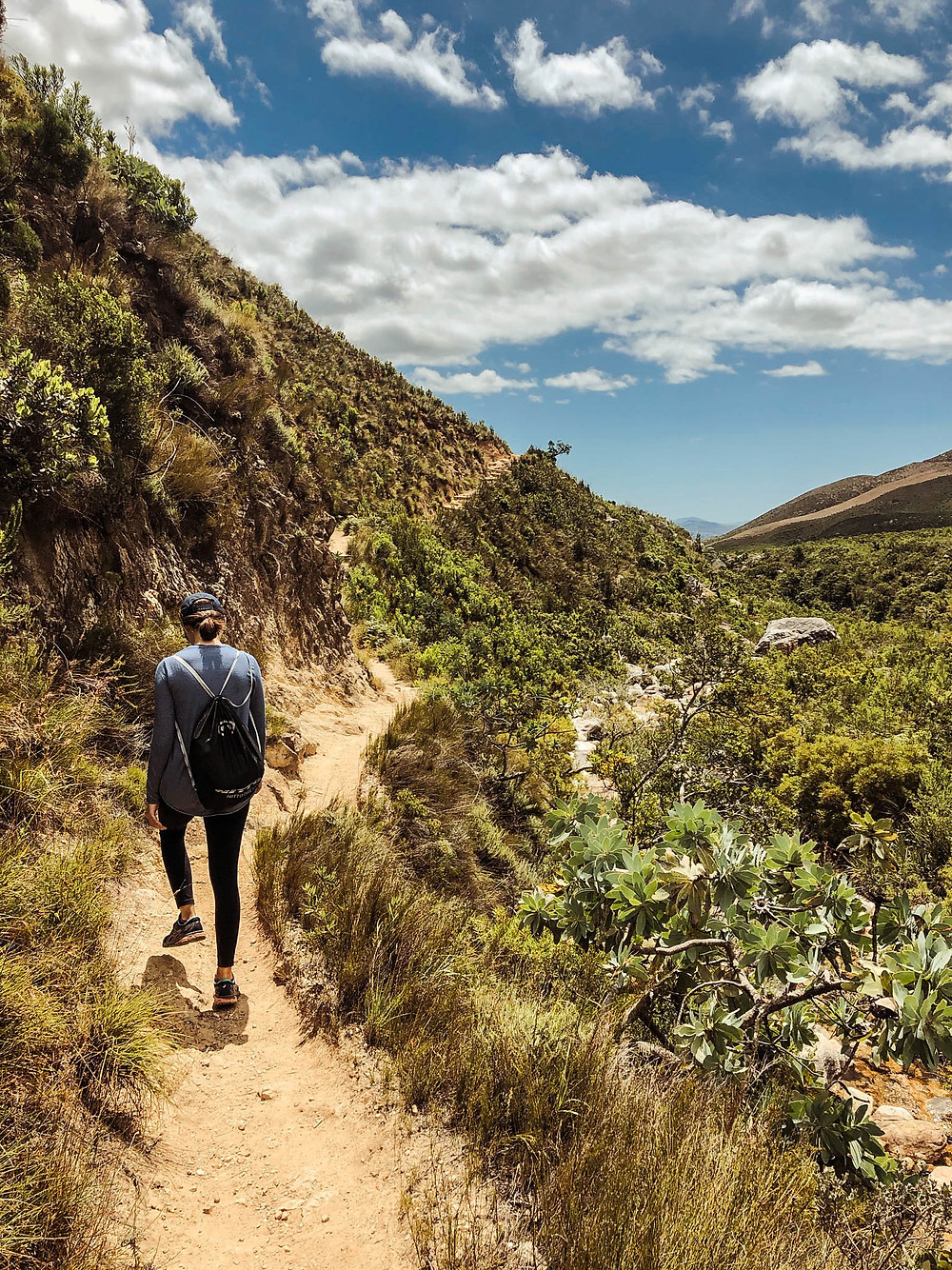 Perfect day for a hike!