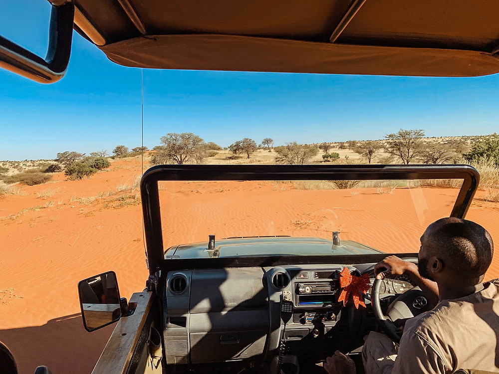 A Kalahari game drive at Bagatelle