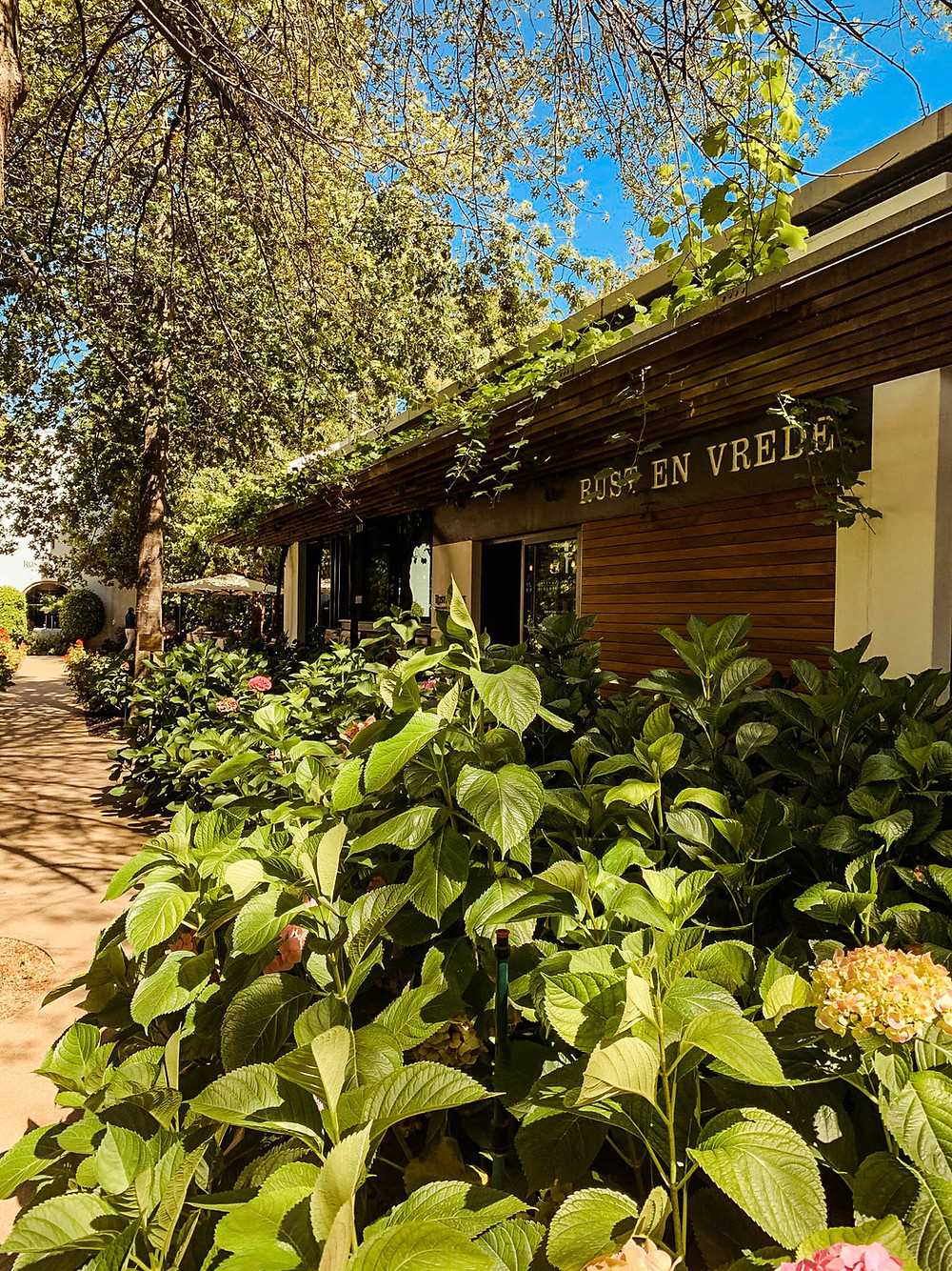 Some of the beautiful Rust en Vrede gardens