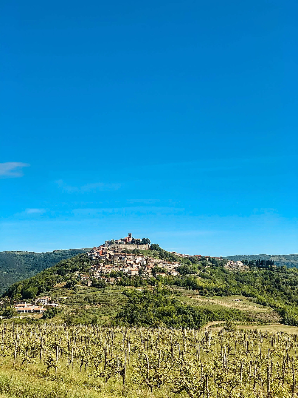 Motovun's hilltop citadel