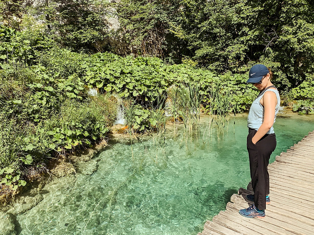 Vegetation growing directly out of Plitvice's travertine cascades