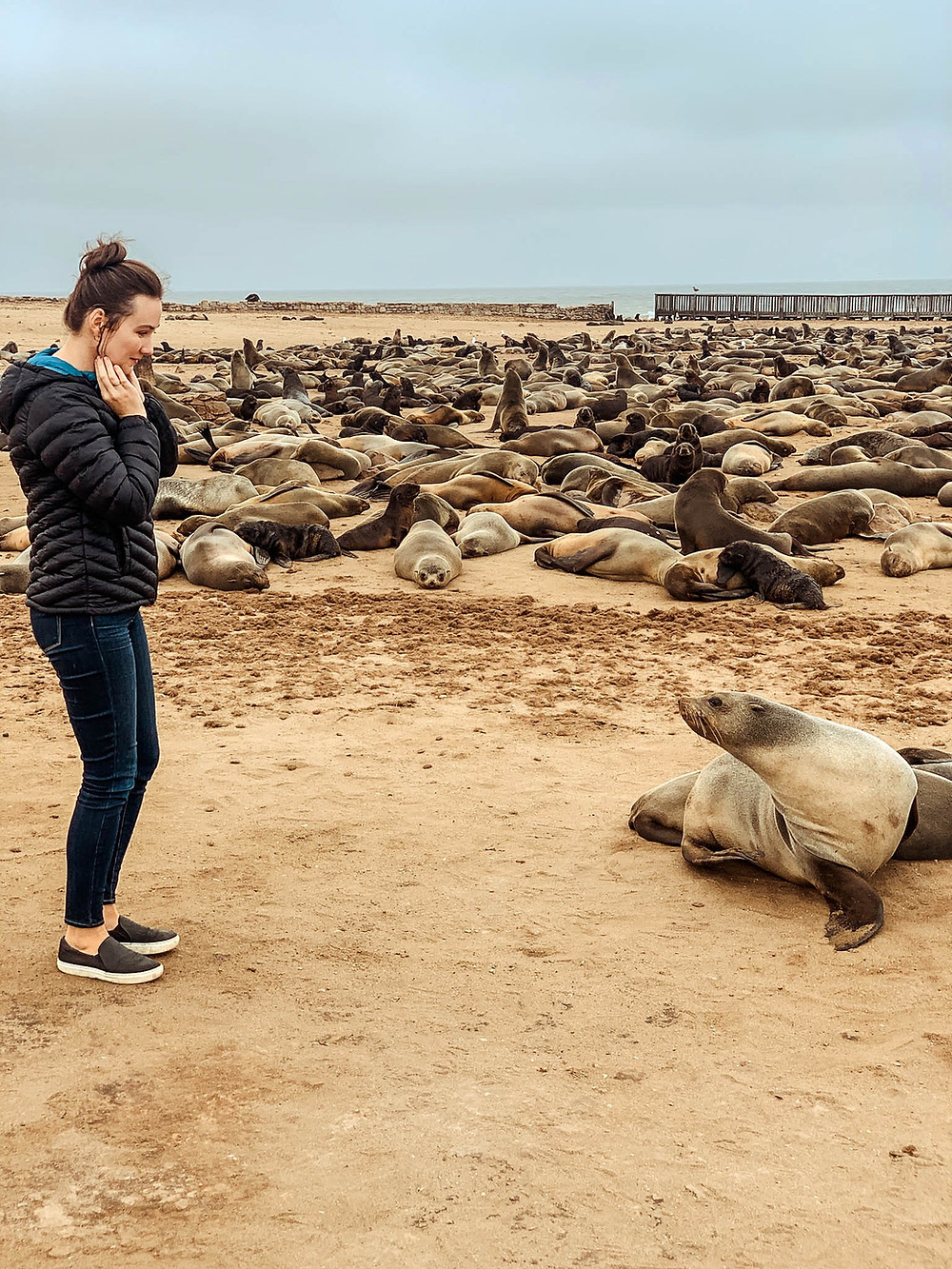 Jenna meeting a new "friend" at Cape Cross