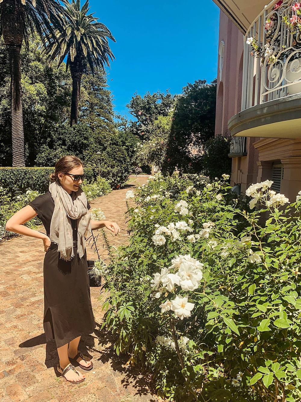 Some of the beautiful Mount Nelson gardens