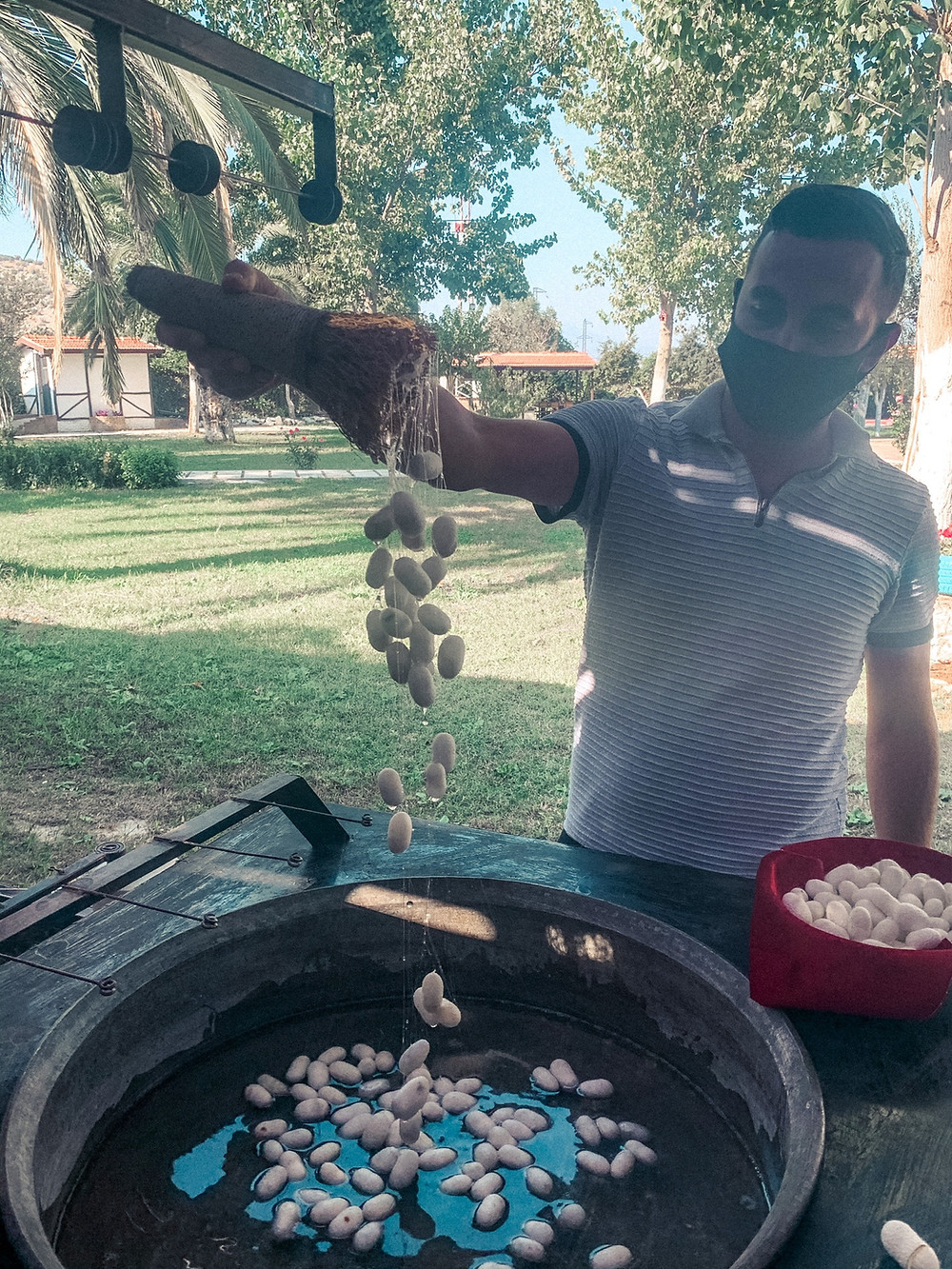 Drawing silk threads from cocoons - a true labor of love