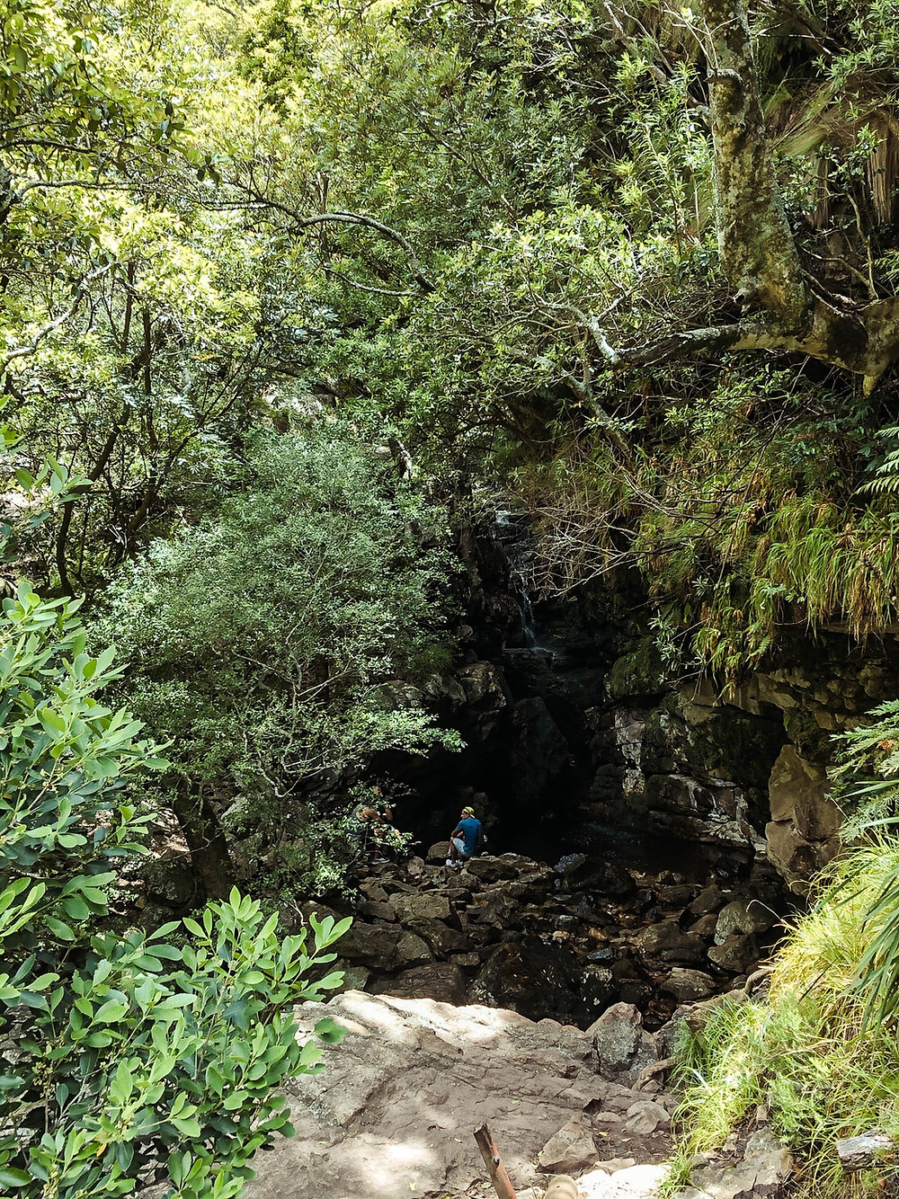 The Eerste Waterval grotto, tucked high in the Jonkershoek hills