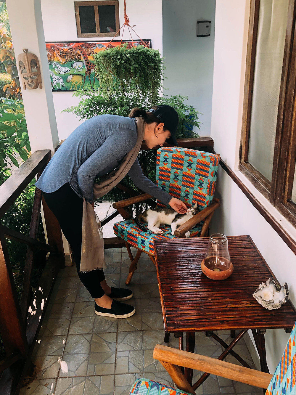 Stevie the Cat "welcoming" us at Highland Bungalows - a great surprise for Jenna!