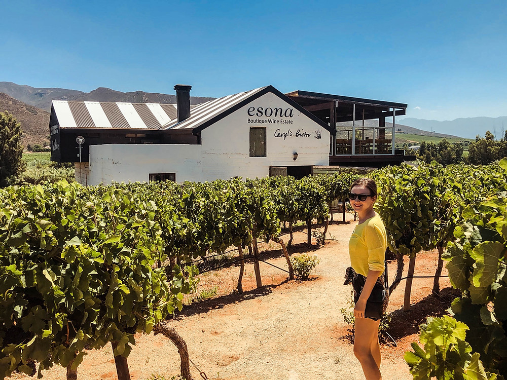 A wine stop in South Africa's Robertson Valley