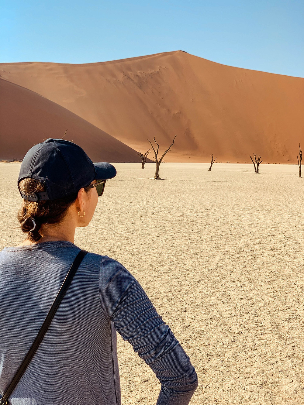 From Deadvlei looking back up to the Big Daddy peak