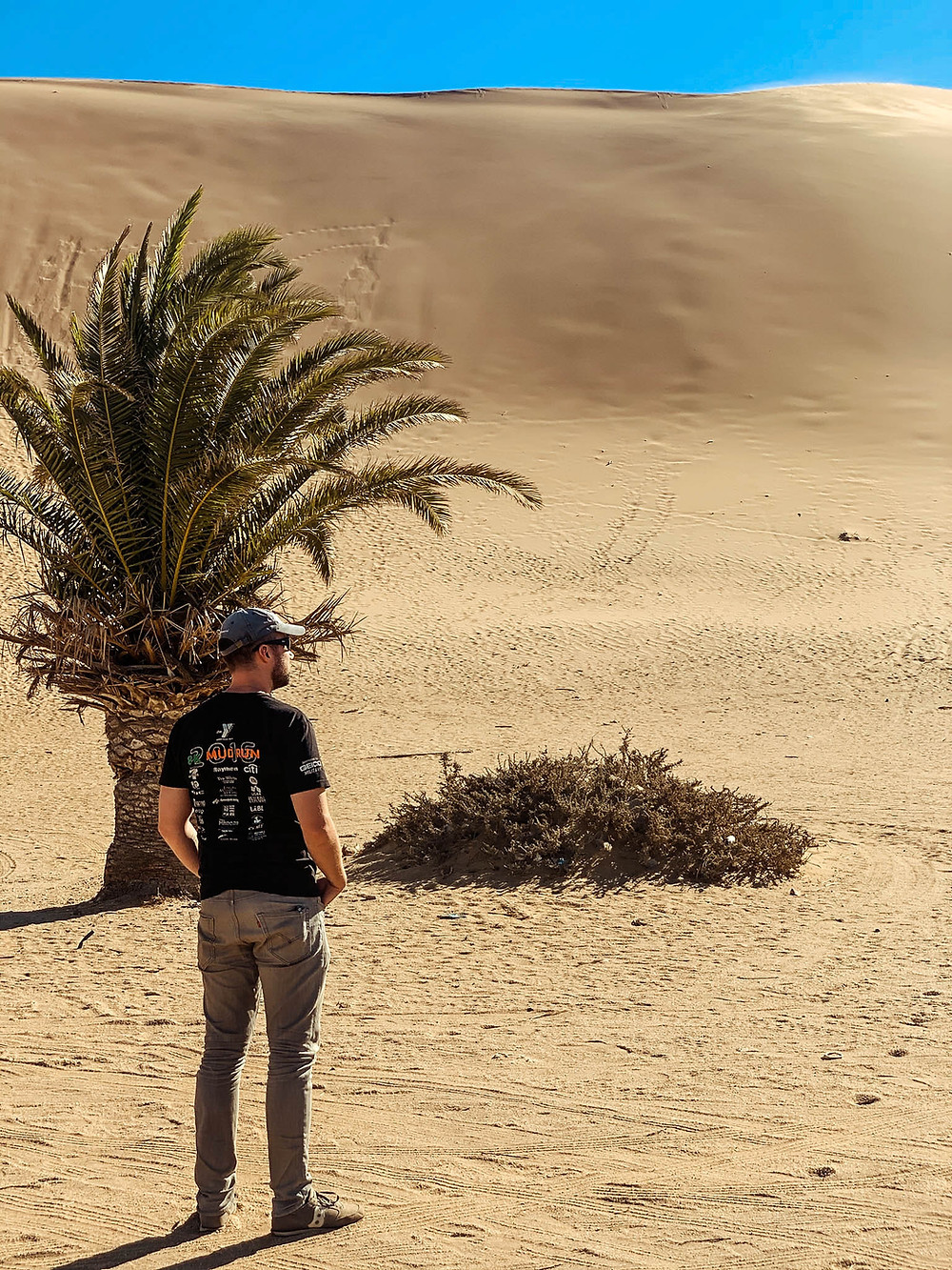 Taking in the scale of Dune 7