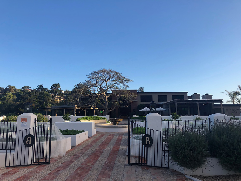 Barrington's Brewery - a Plett Bay institution