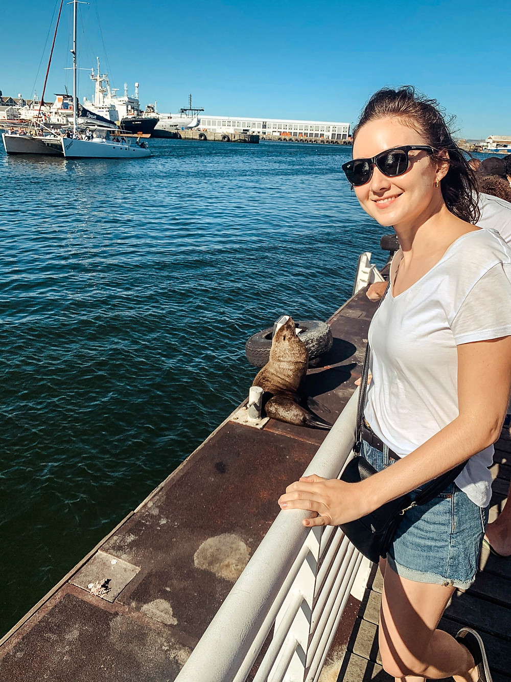 Waiting to board the ferry to Robben Island with some of the local seals
