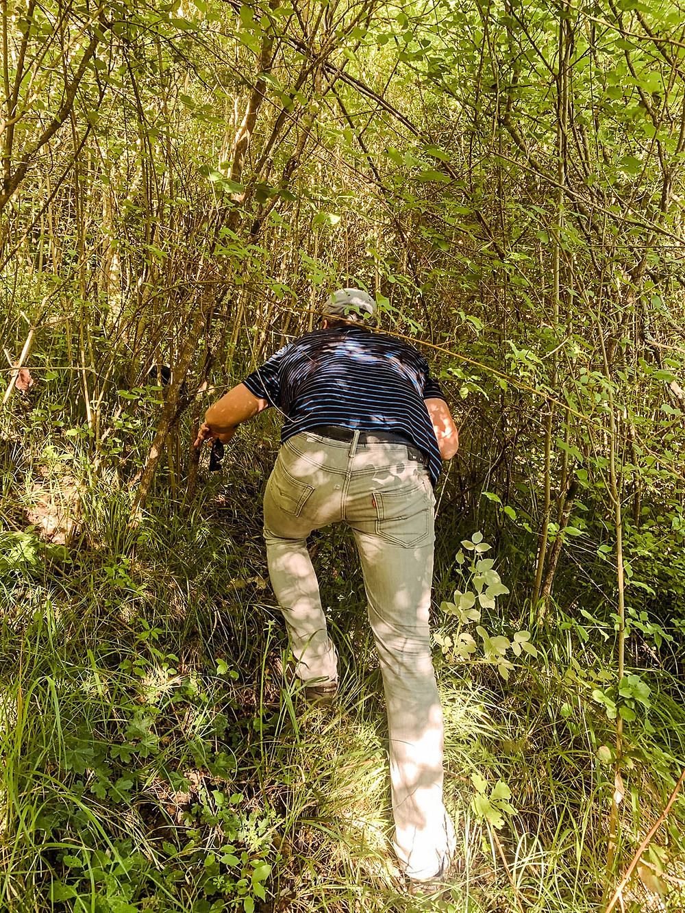 A little thicker vegetation than expected...