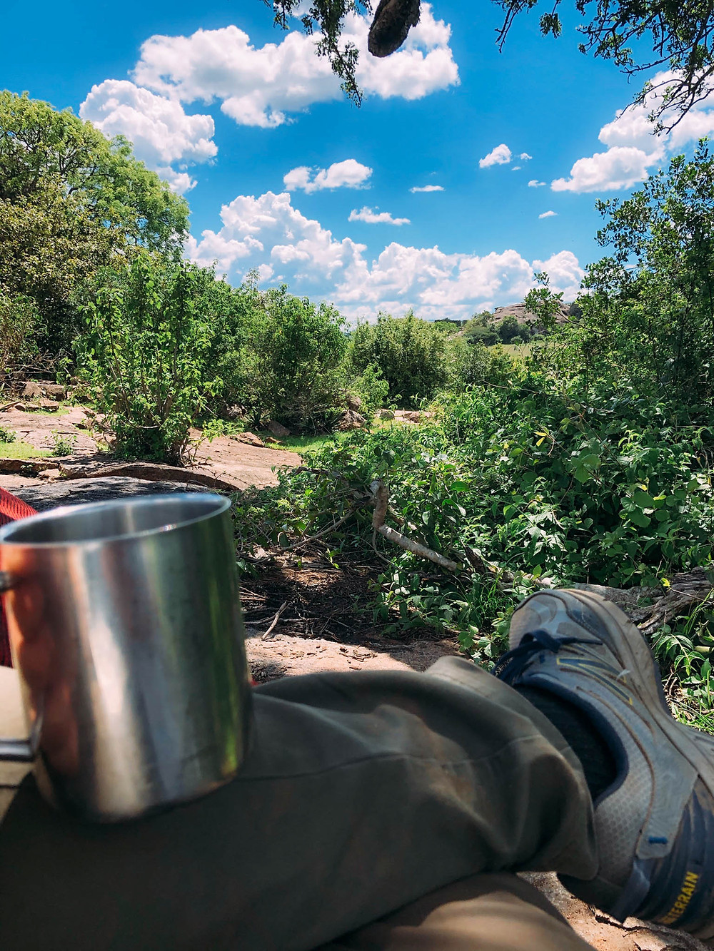 Enjoyed plenty of Tanzanian coffee on safari - cool seeing the coffee plantations from the air!