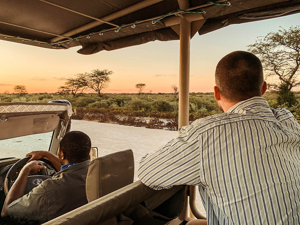 Enjoying a sunset game drive - from the passenger seat
