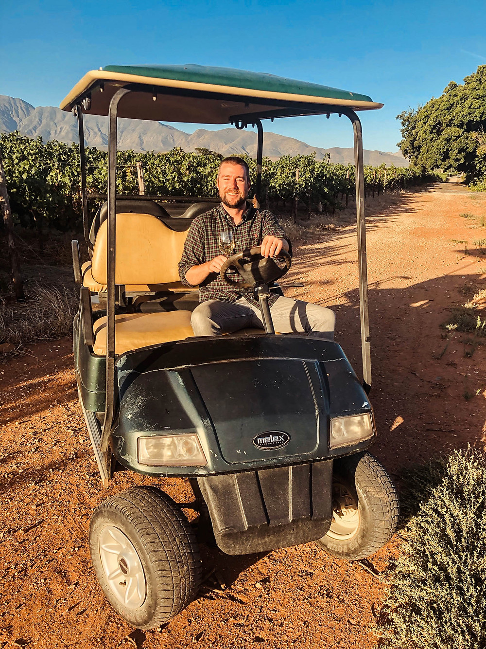 Golf carts and wine in the Excelsior vineyards