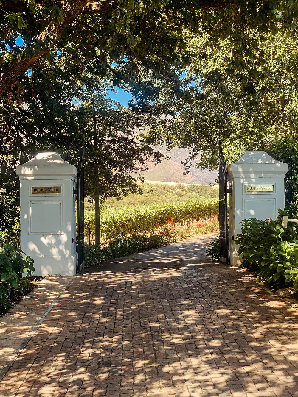 Walking up the Rust en Vrede drive