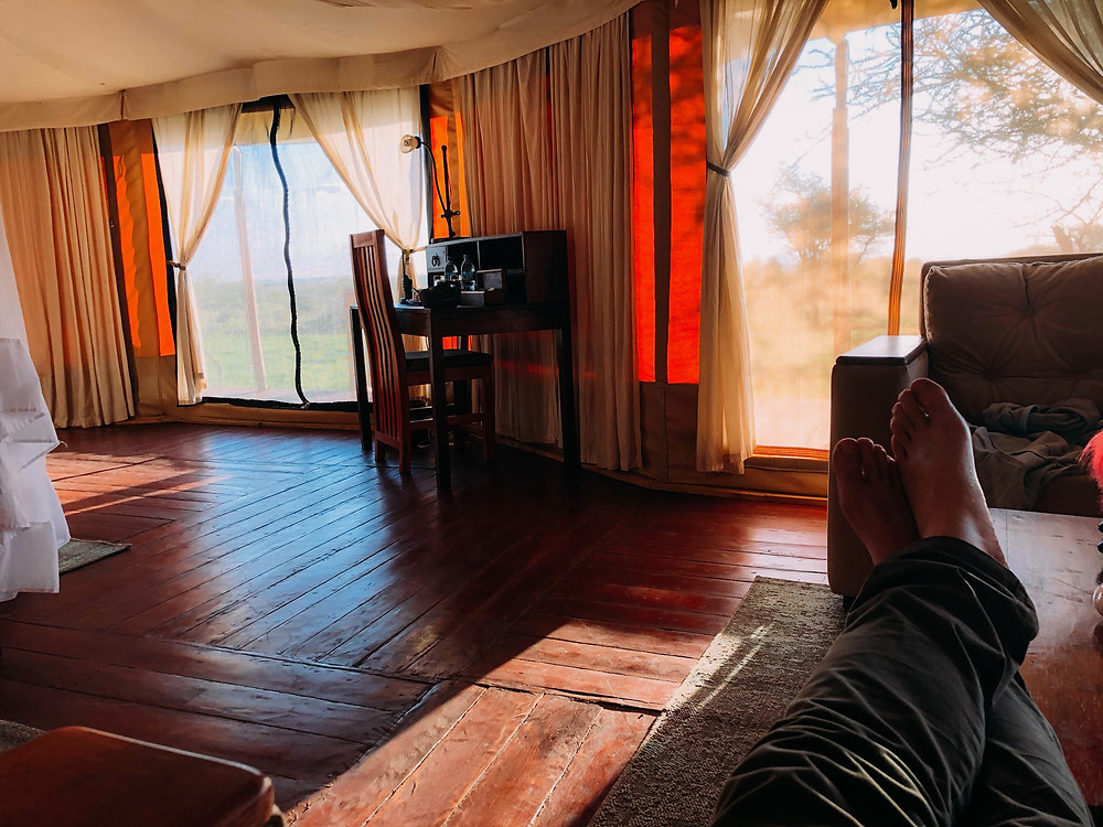 Not pictured: the cold Safari beer in one hand!