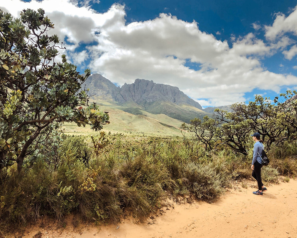 Some of the incredible views in Jonkershoek
