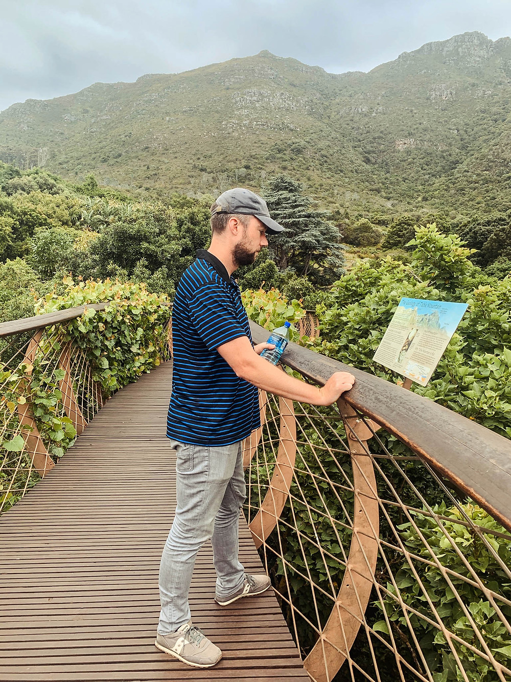 The incredible Kirstenbosch Gardens - in the shadow of Table Mountain