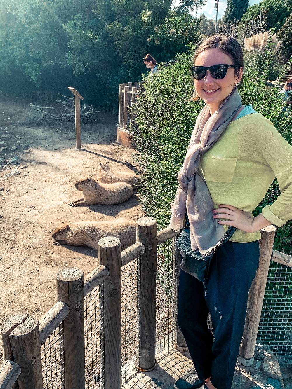Jenna's new favorites - capybaras!