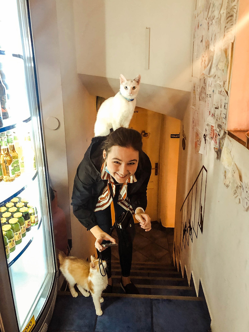 Cat Caffe Zagreb and Jenna's new "friends"