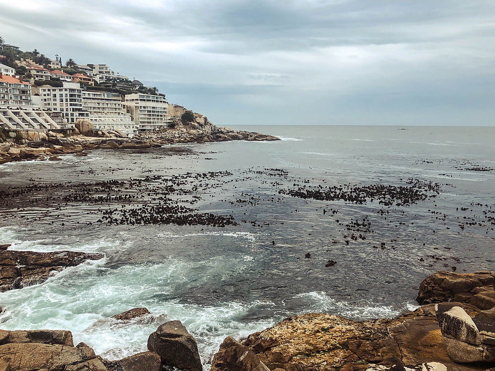 Where Sea Point meets Bantry Bay