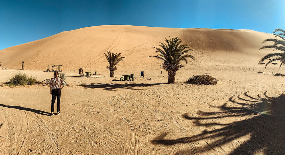 Dune 7 - the tallest dune in Namibia
