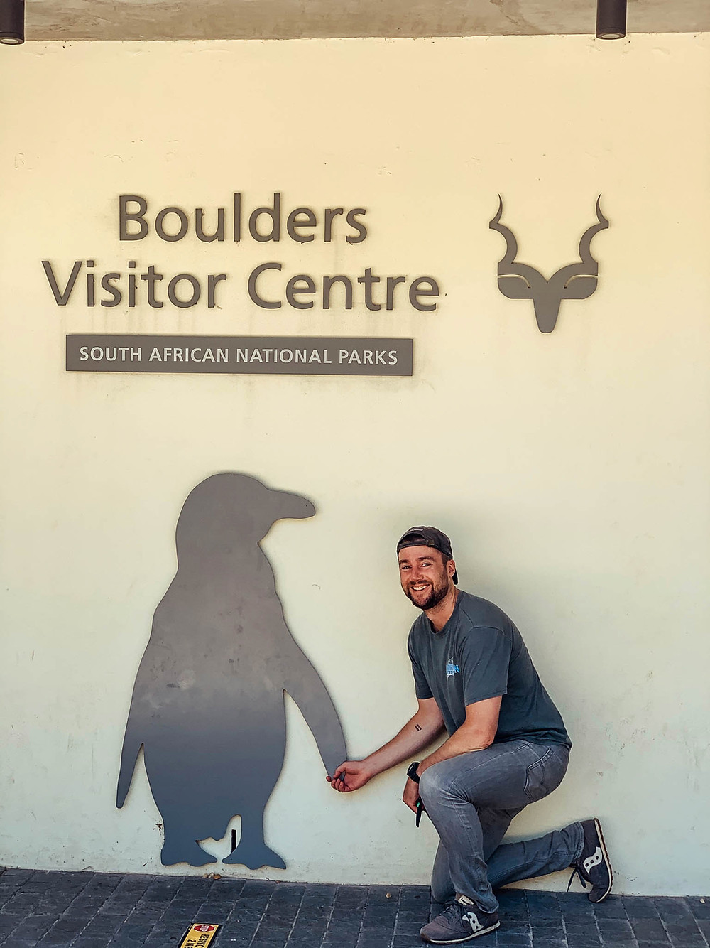 Holding hands with some Boulders Beach penguins