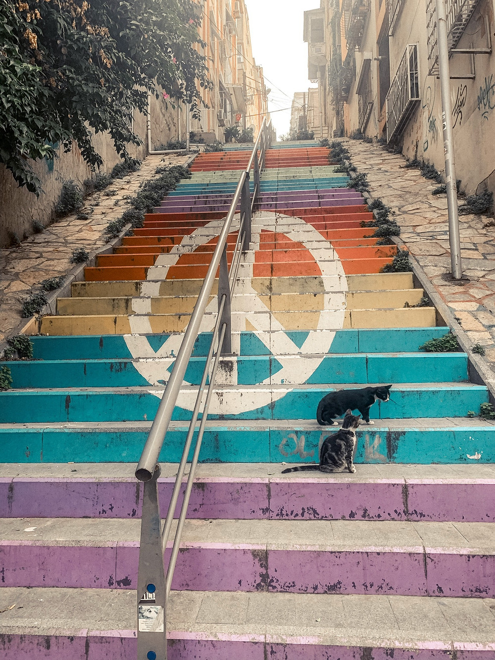 The lower part of the staircase adjacent to the Asansor - "cat territory"