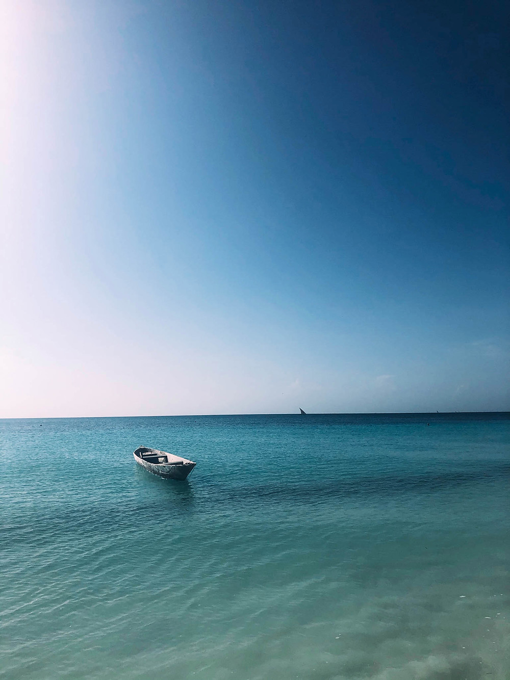 Not a bad life - if only temporarily