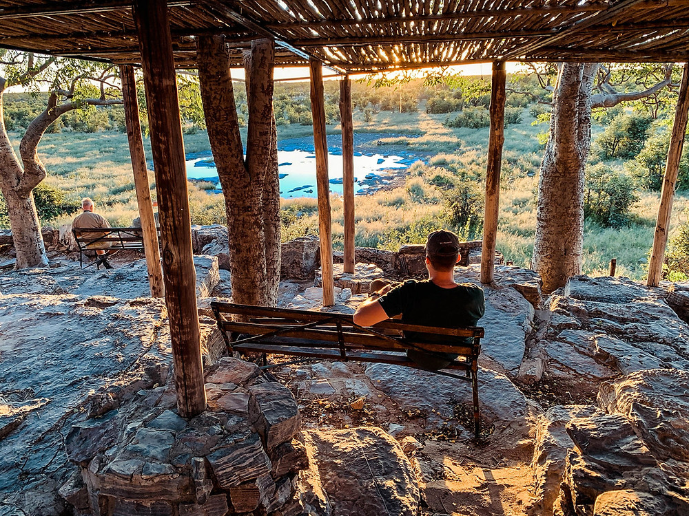 Sunset drinks and game watching at Halali's water hole