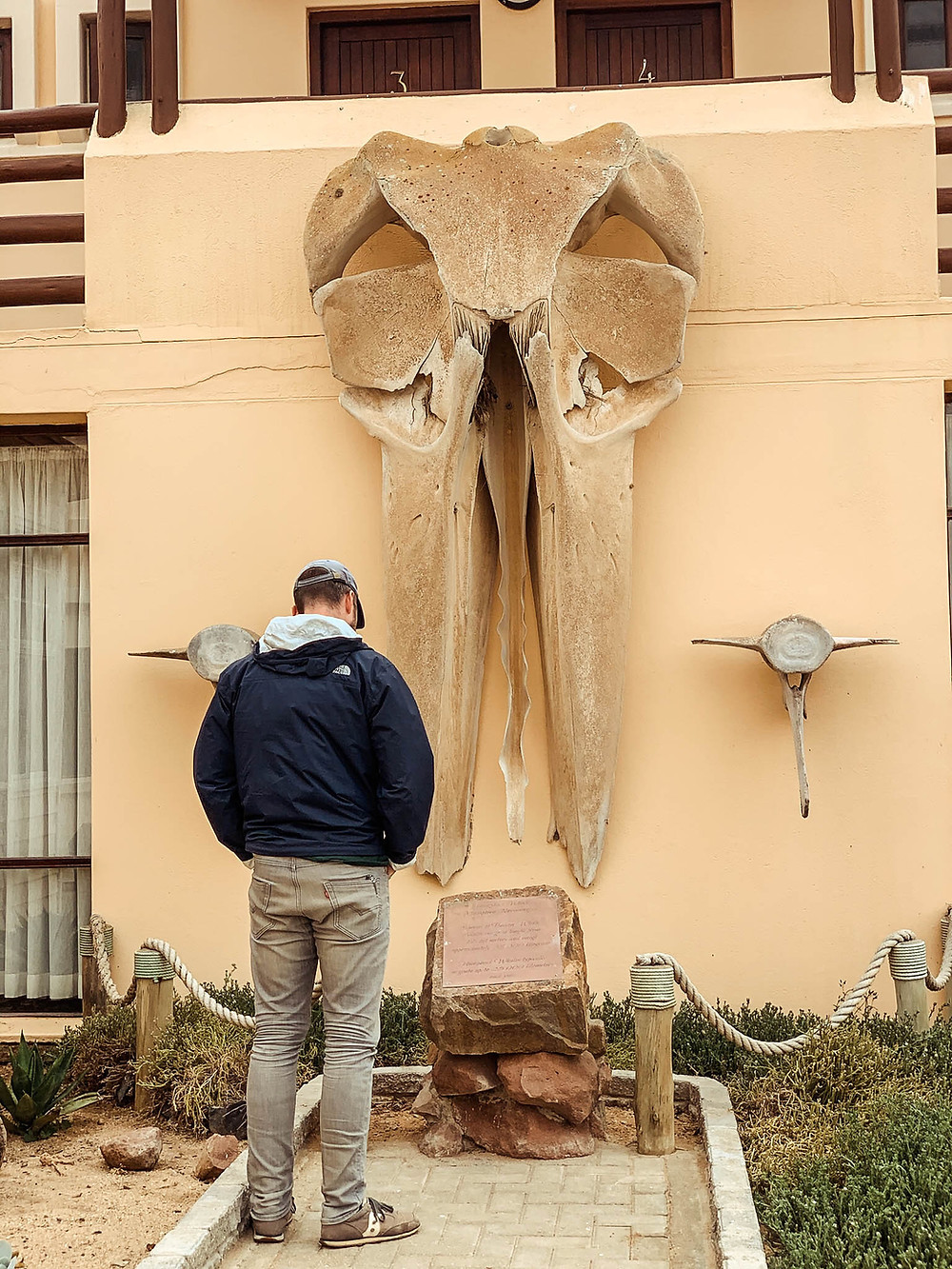 Some of the Skeleton Coast's skeletons...