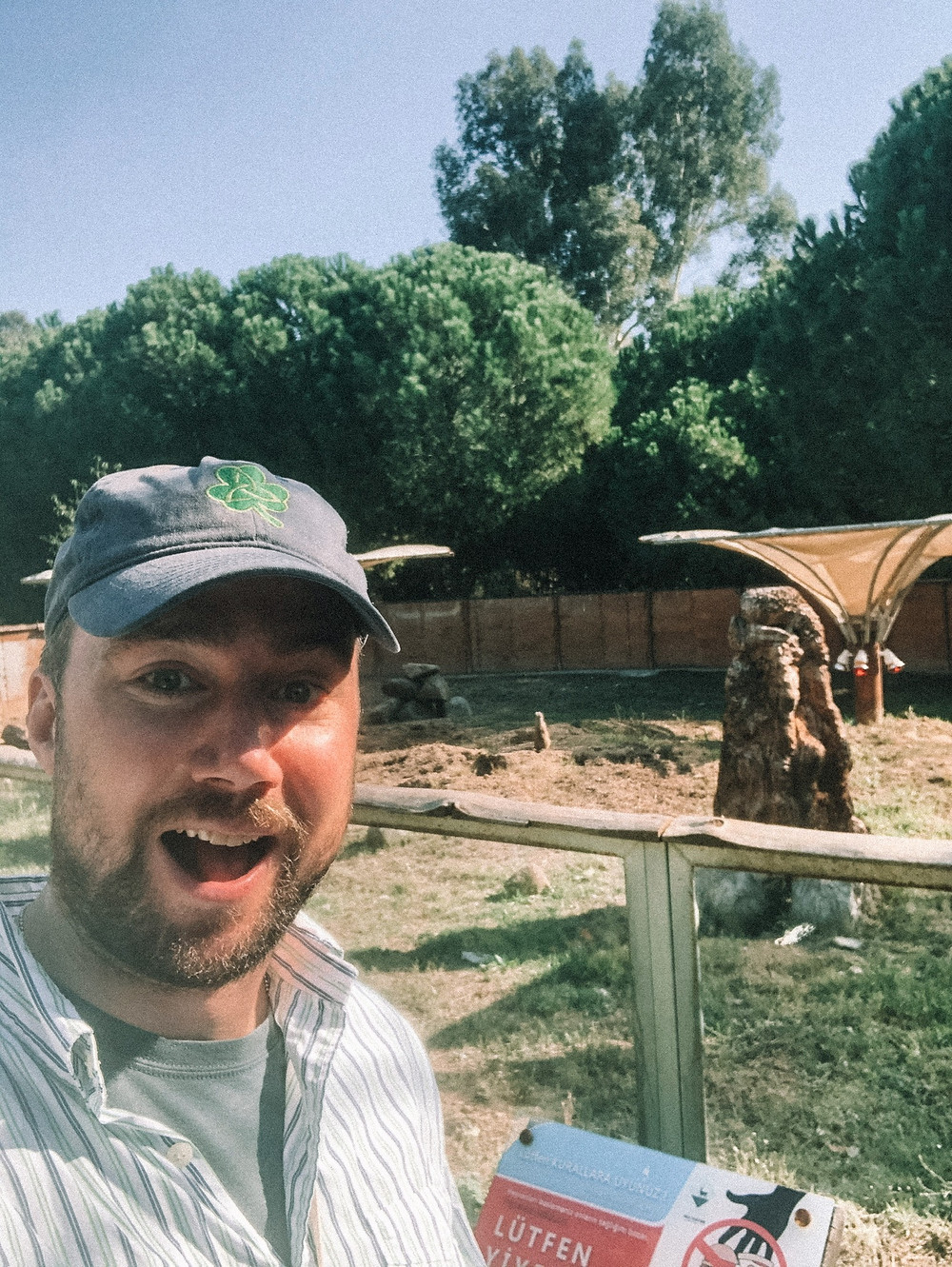 Chipp and his meerkat friends at the Izmir Wildlife Park