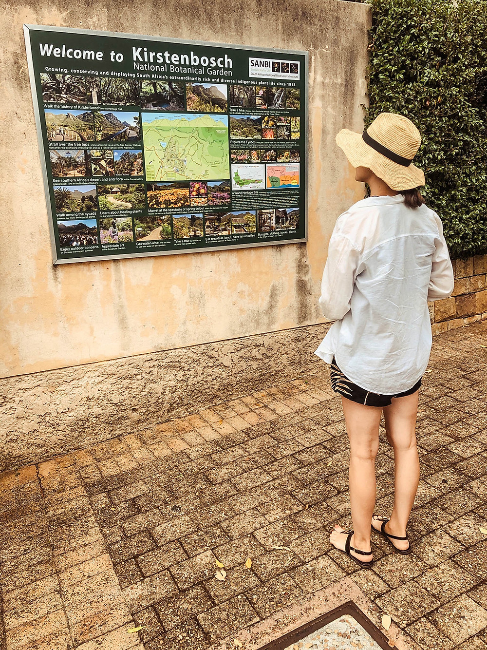 Welcome to Kirstenbosch!