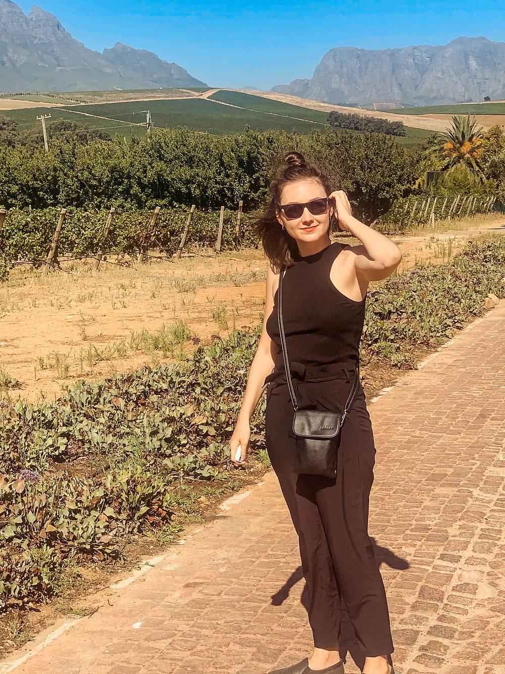 A stroll through some Stellenbosch vineyards