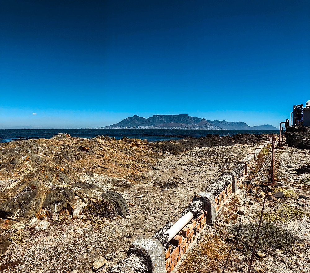 On the shores of Robben Island - Cape Town across Table Bay in the distance